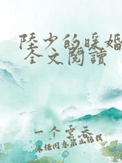 陆少的暖婚新妻 全文阅读