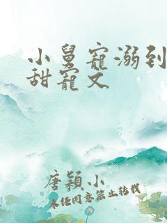 小舅宠溺到爆的甜宠文