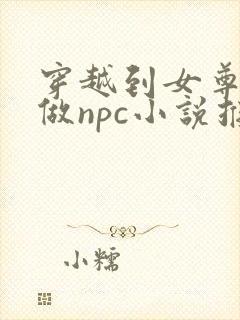 穿越到女尊世界做npc小说推荐