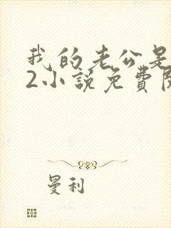 我的老公是冥王2小说免费阅读