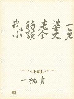 我的老婆一打七小说全文免费阅读