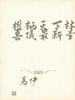 权柄天下林凡陈嘉仪最新章节