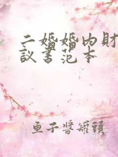 二婚婚内财产协议书范本