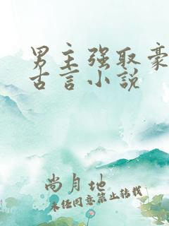 男主强取豪夺的古言小说