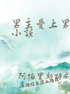 男主爱上男配的小说