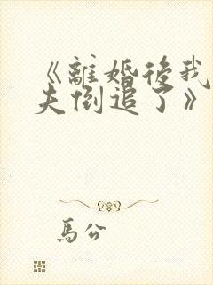 《离婚后我被前夫倒追了》