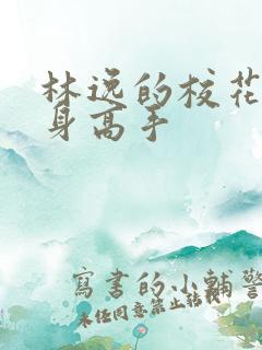 林逸的校花的贴身高手