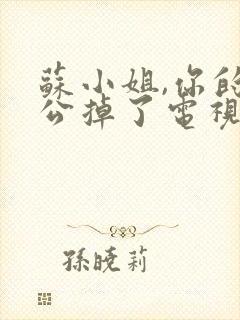 苏小姐,你的老公掉了电视剧剧情介绍