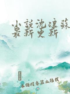 小说沈浪苏若雪最新更新