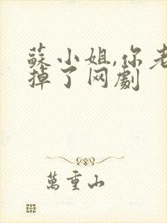 苏小姐,你老公掉了网剧