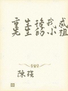 重生后我成了宋先生的小祖宗免费阅读