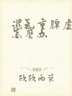 湿气重脾虚阳虚怎么办