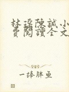 林瑶陈诚小说免费阅读全文最新章节更新时间