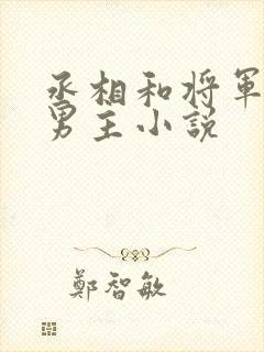 丞相和将军的双男主小说