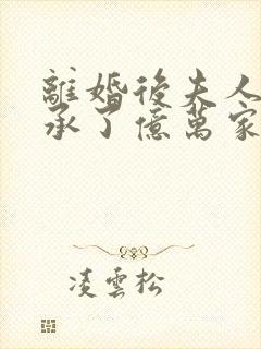 离婚后夫人她继承了亿万家产