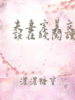 夫妻完美交换小说在线阅读