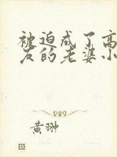 被迫成了高冷室友的老婆小说阅读免