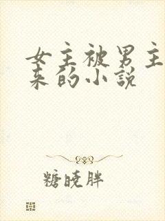 女主被男主买下来的小说