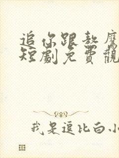 追你跟熬鹰似的短剧免费观看全集