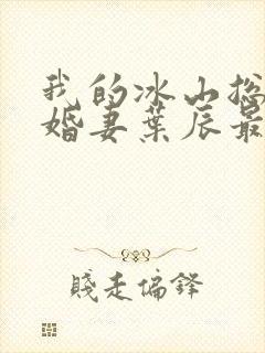 我的冰山总裁未婚妻叶辰最新