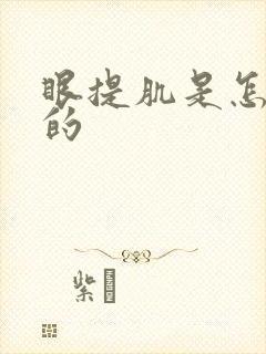 眼提肌是怎么做的