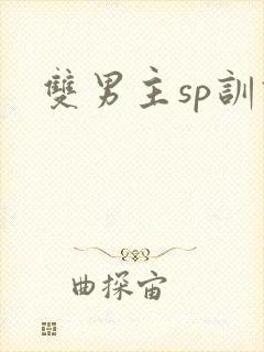 双男主sp训诫