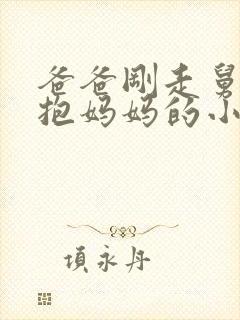 爸爸刚走舅舅就抱妈妈的小说