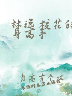 林逸 校花的贴身高手