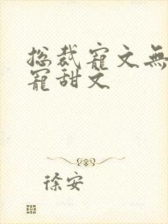 总裁宠文无虐超宠甜文