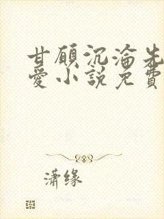 甘愿沉沦先婚后爱小说免费阅读