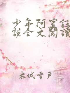 少年阿宾钰慧小说全文阅读