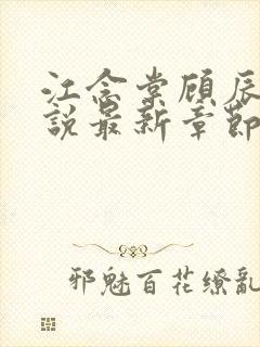 江念棠顾辰聿小说最新章节免费阅读