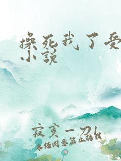 操死我了受不了小说