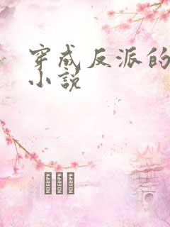 穿成反派的老婆小说
