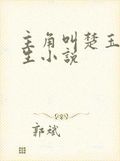 主角叫楚玉的重生小说