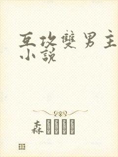 互攻双男主星际小说