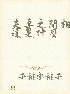 夫妻之间相处之道是什么