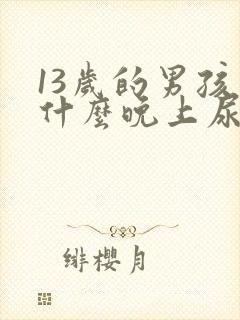 13岁的男孩为什么晚上尿床