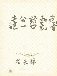 老公请和我恋爱吧一口气看完