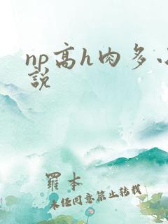 np高h肉多小说