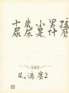 十岁小男孩经常尿床是什么原因