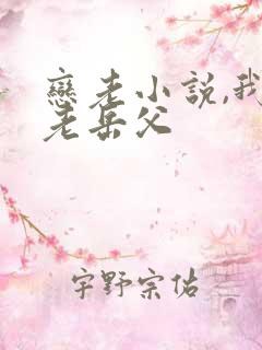 恋老小说,我和老岳父
