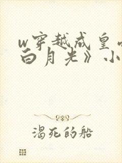 w穿越成皇帝的白月光》小说