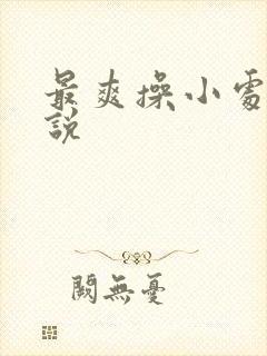 最爽操小处女小说