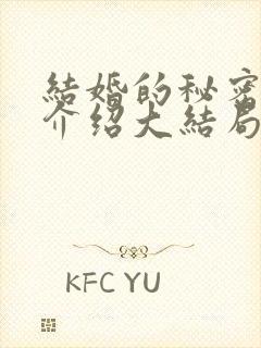 结婚的秘密剧情介绍大结局