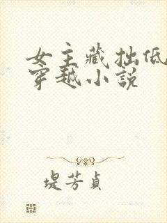 女主藏拙低调的穿越小说