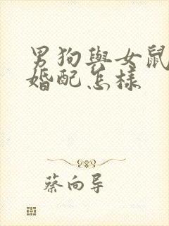 男狗与女鼠属相婚配怎样