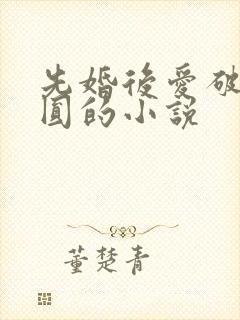 先婚后爱破镜重圆的小说