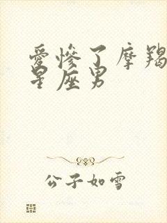 爱惨了摩羯女的星座男