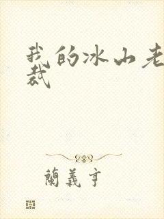 我的冰山老婆总裁